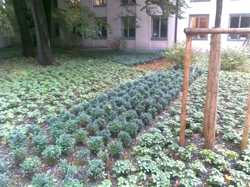 Willkommen zu Hagmayer Garten und Landschaftsbau Entire